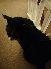 Mud