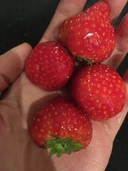 Posting pics of everything you eat thread!