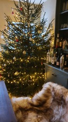 Get your trees out!!!!!