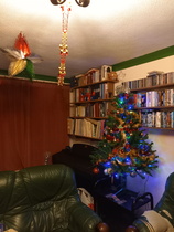 Festive Fledglings Flap Frantically Towards A Calm, Clutter-free Christmas!