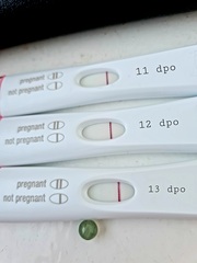 HOUSTON WE HAVE A SQUINTER!