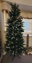 Has anybody not put their tree up yet?