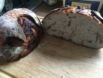 sourdough help- please!