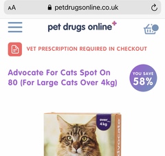 6month kittens won't eat !