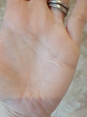 It just kept going!  (with pics)