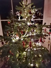 Get your trees out!!!!!