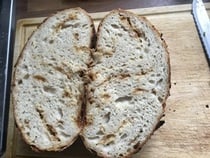 sourdough help- please!