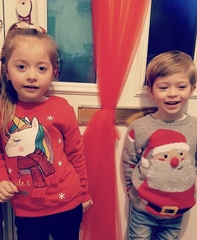 Festive Fledglings Flap Frantically Towards A Calm, Clutter-free Christmas!