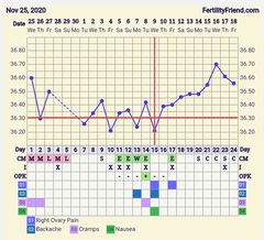 9DPO Symptom Spotting