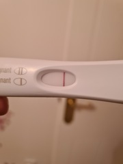 Pregnancy test predictions for fun