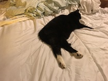 I can’t change the duvet cover can I?