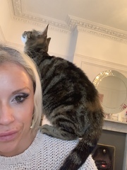A strange cat has just climbed into my bedroom