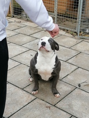 🦕 Catching up - ttc after miscarriage part 4 🦕