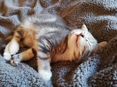 I need a name!