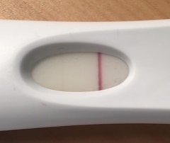 Ttc 12 months plus