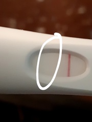 Line Eyes Please