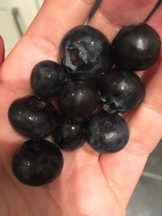 Posting pics of everything you eat thread!