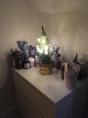 What are you wearing today? Winter 2020