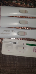 Has anyone ever been told  not pregnant after many positive pregnancy tests?