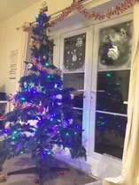 Festive Fledglings Flap Frantically Towards A Calm, Clutter-free Christmas!