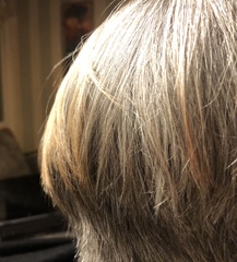 Should I just seize the opportunity to go grey?