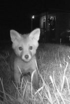 NOT what I expected to wake up to this morning...