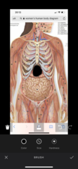 Acid reflux