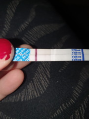 Too early for clear blue? do you see a line?