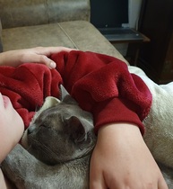 Have you ever seen a cosier cat?