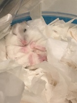 What are you wearing today? Winter 2020