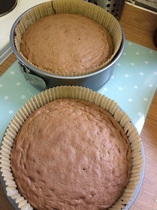My baker's got covid, what do I need to make a cake please?!
