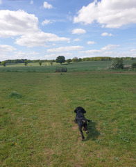 What's Lincolnshire/The Fens like as a place to live?