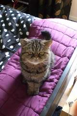 Swagger Inn 167 - Autumn is here, the days are getting shorter and colder...