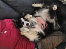 to give you an update on our rescue dog