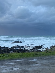 Real Housewives of Jersey....anyone watching?