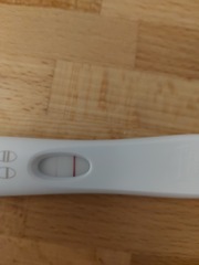 Lines postpartum