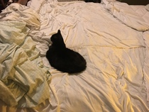 I can’t change the duvet cover can I?