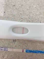 FRER detecting previous pregnancy?