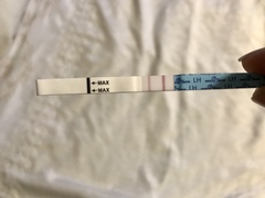 Have I ovulated??