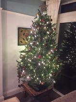 Can anyone recommend me a nice and plump artificIal tree for next year?