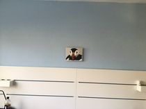 What's your favourite present this Christmas?