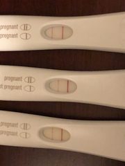 BFP, but no line progression from 10 DPO to 12 DPO