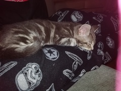 I need a name!