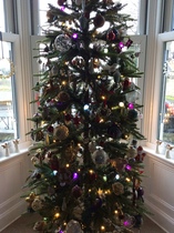 Get your trees out!!!!!