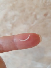 It just kept going!  (with pics)