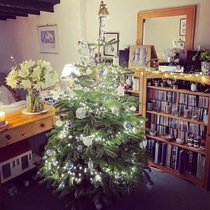 Get your trees out!!!!!