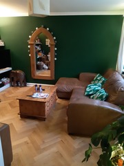 Please help me choose a new sofa and rug