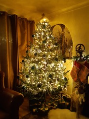 Get your trees out!!!!!