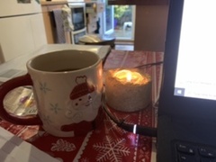 Festive Fledglings Flap Frantically Towards A Calm, Clutter-free Christmas!