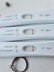 HOUSTON WE HAVE A SQUINTER!